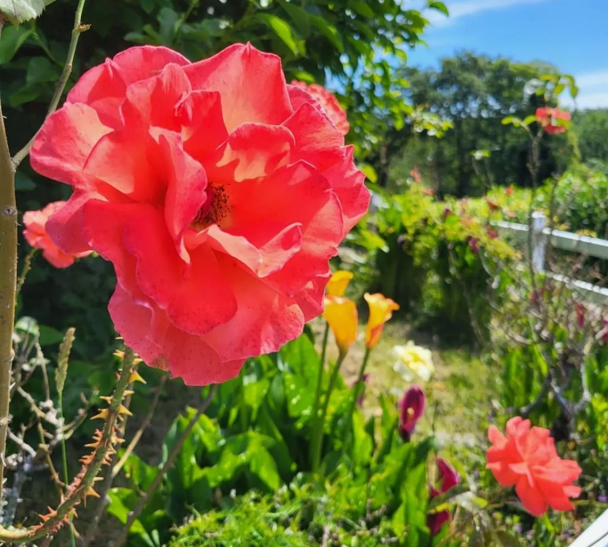 Holiday home Maison Pays Fouesnantais